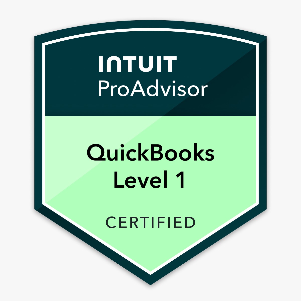 QuickBooks Level 1 Certified