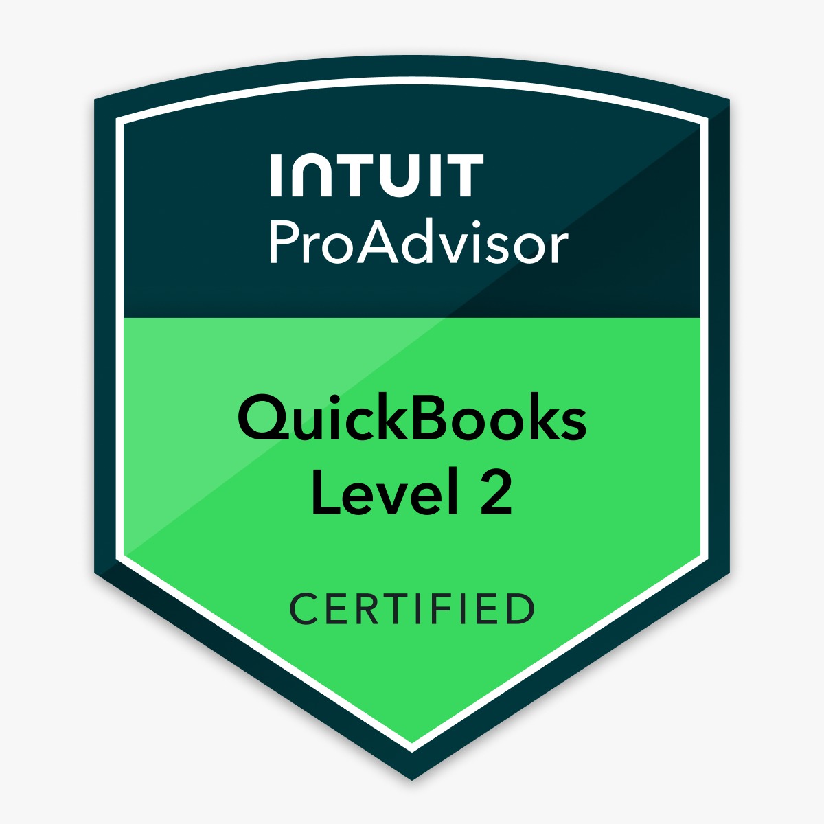 QuickBooks Level 2 Certified